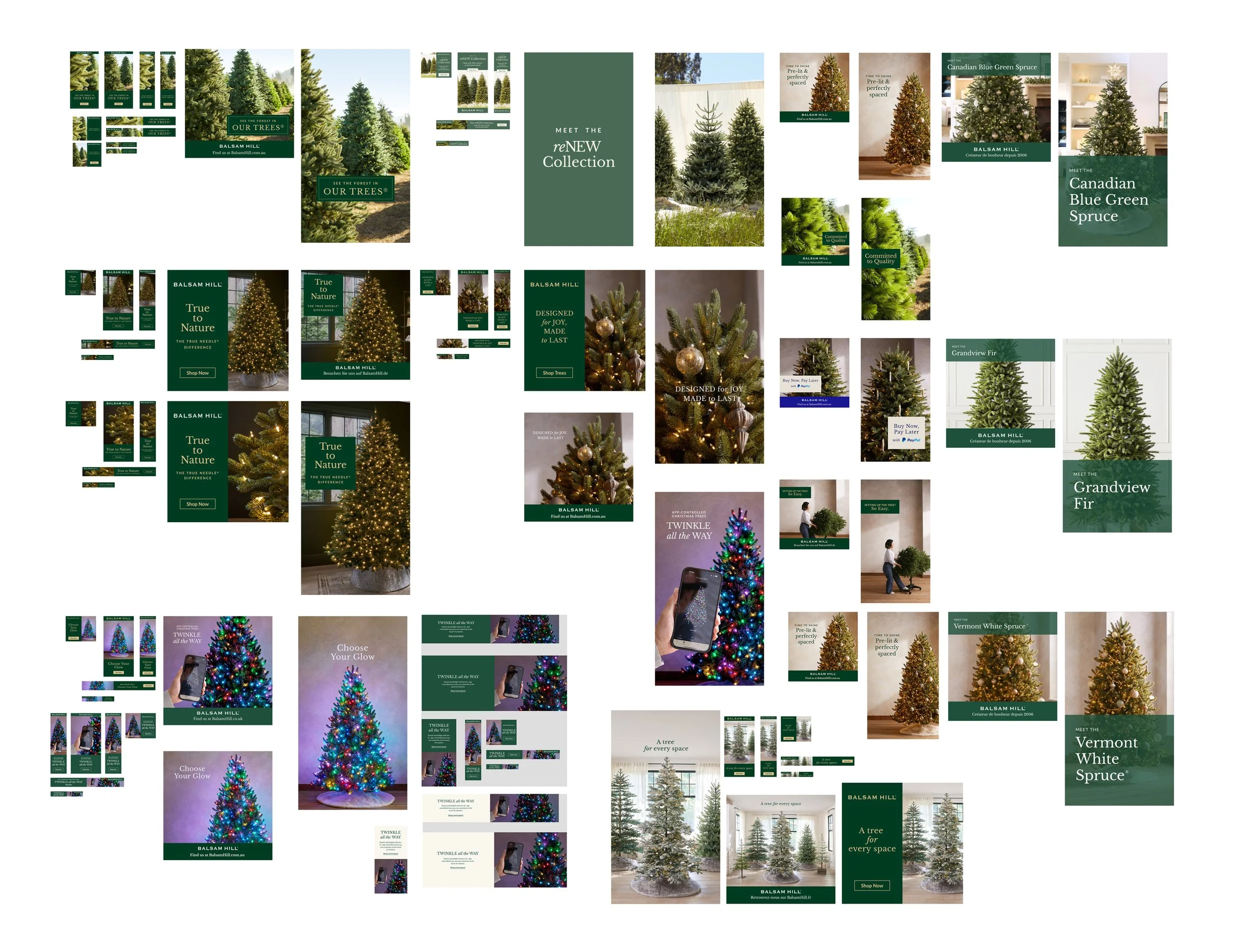 all_together_programatic_2.jpg