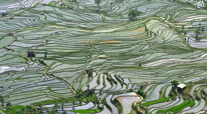 AgFunderNews: 6 Questions with Ex-Khosla Partner Andrew Chung on his New $200m VC Fund