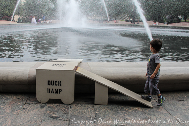 Duck Ramp, Washington D.C.