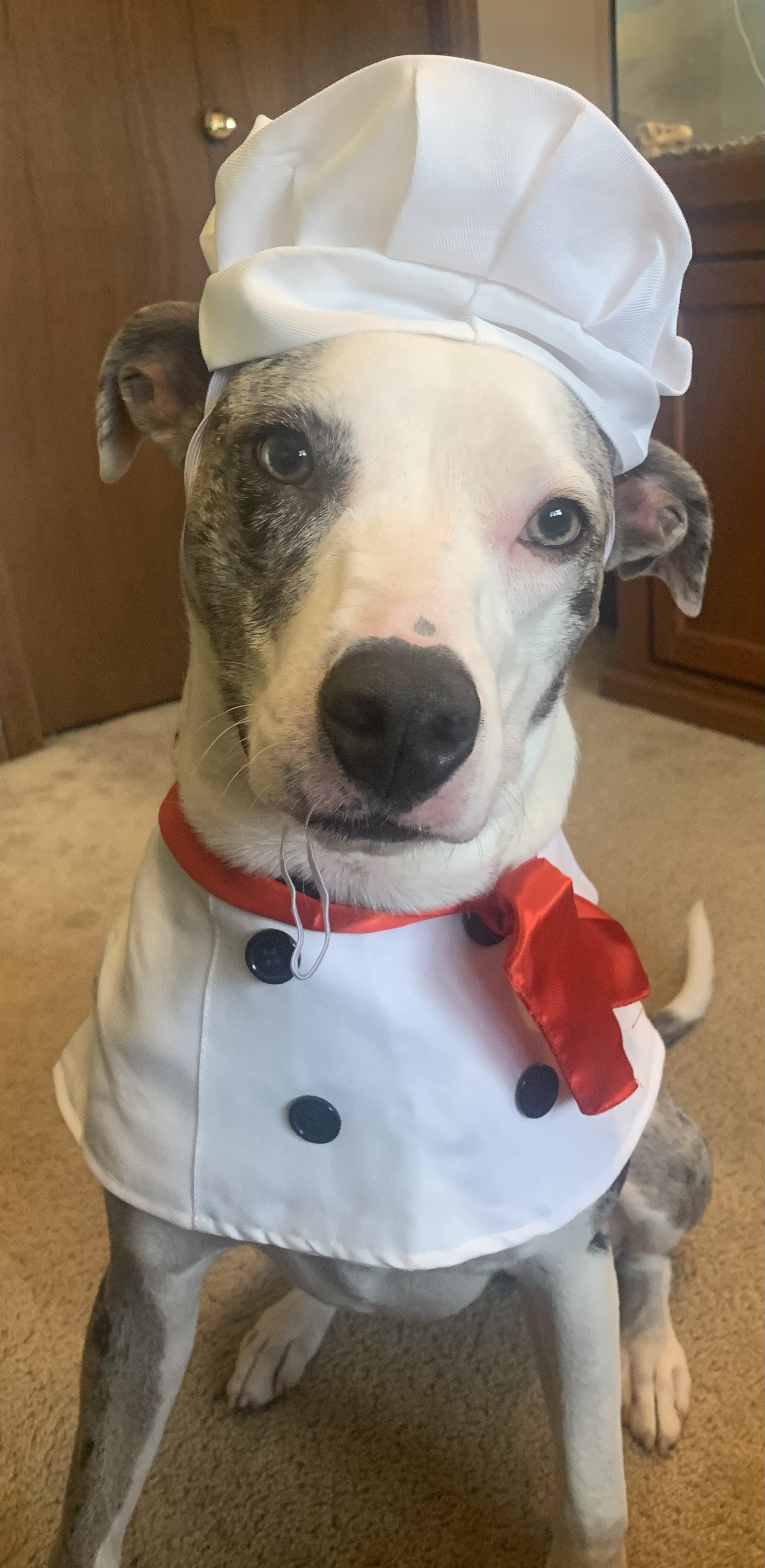 Chef Zoey