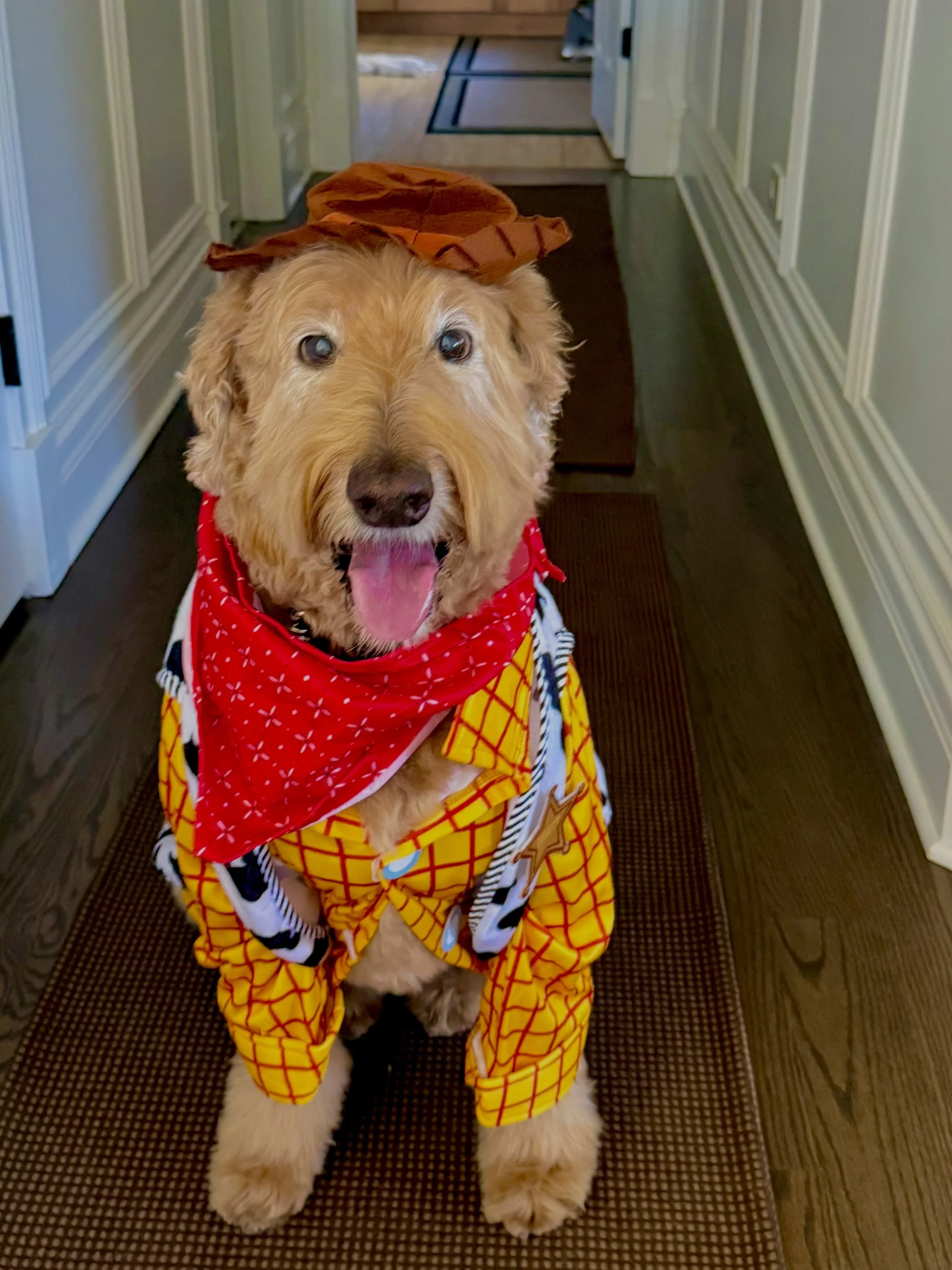 Sherruff Woody