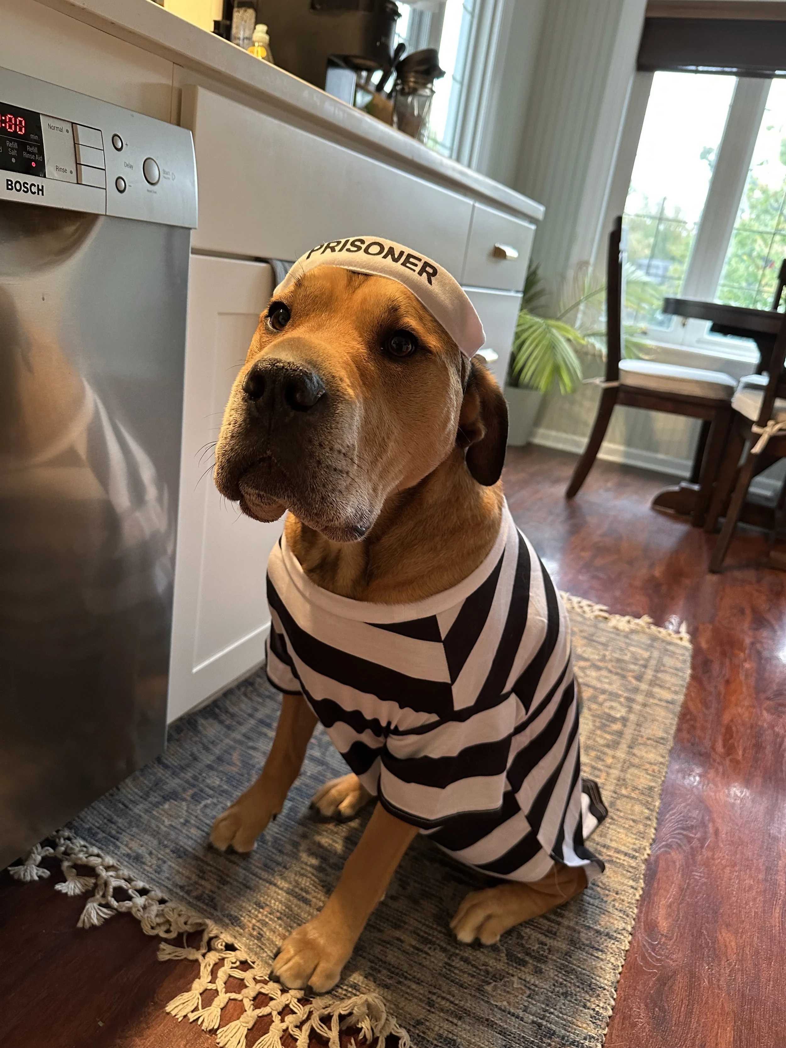 Prisoner Snoop Dog
