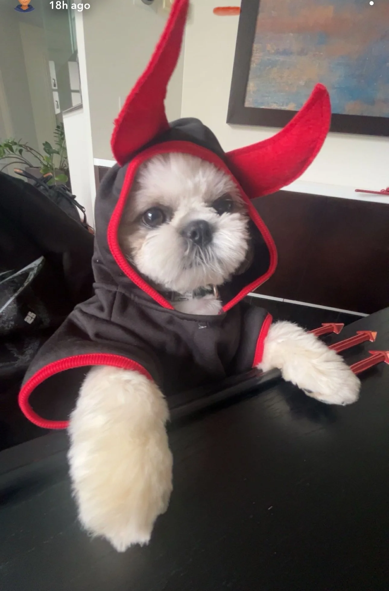 Loki "God of Mischief"