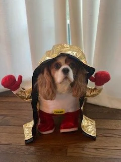 Hank "Still the CHAMP!"