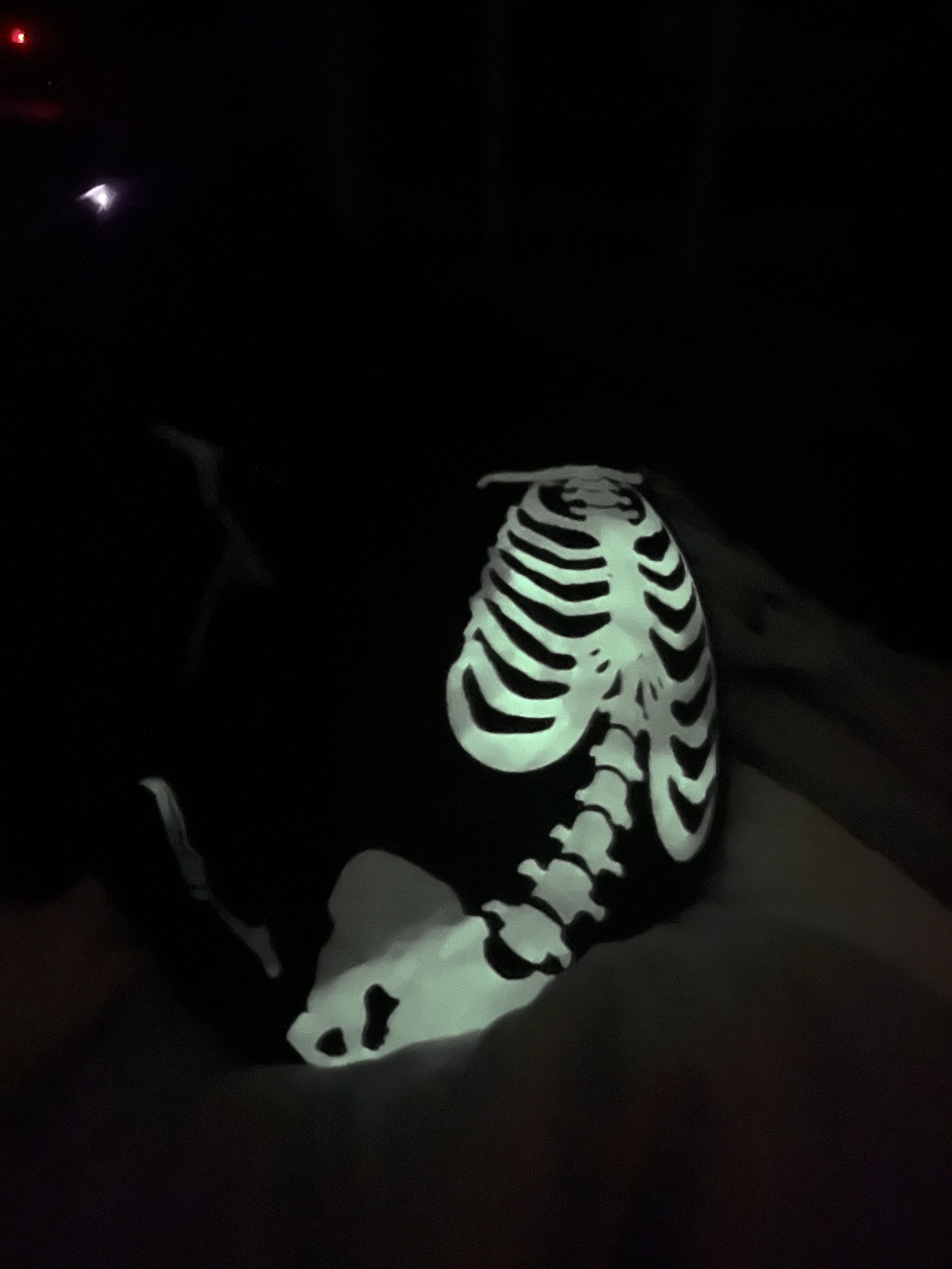Glowing Milo