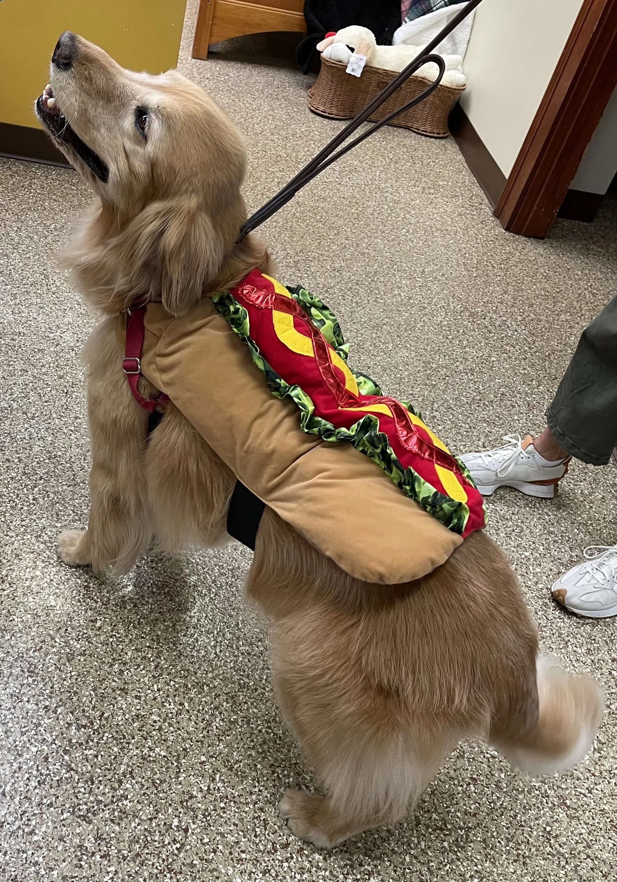 Joey Junior Hotdog