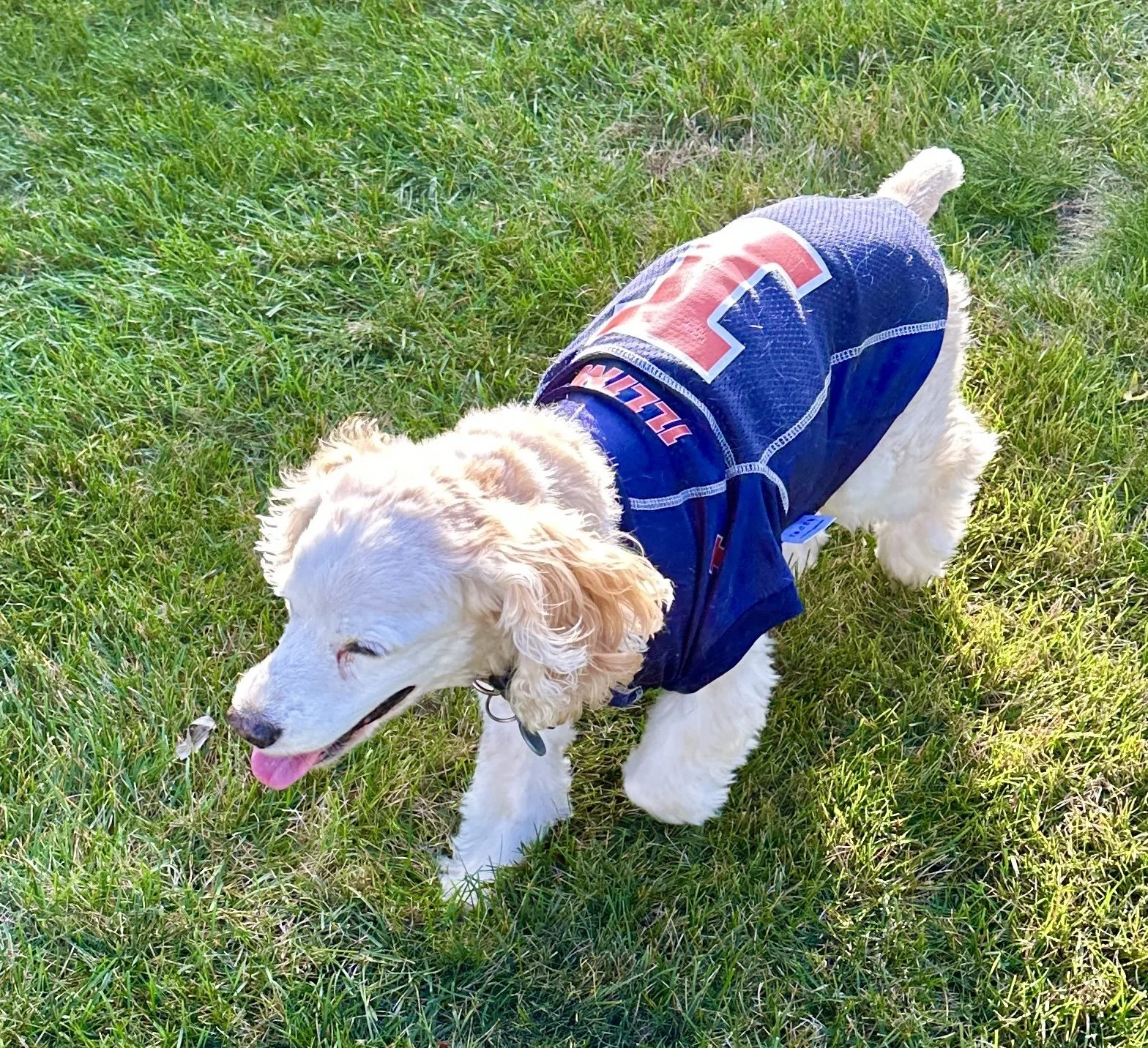Illini Football Sally