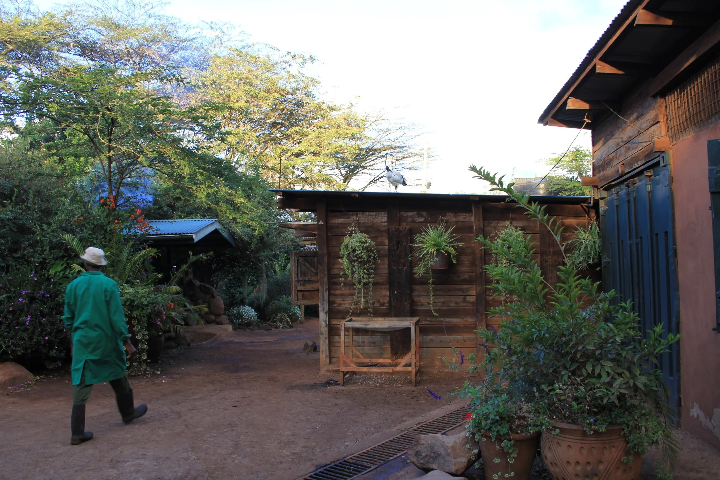  David Sheldrick Wildlife Trust, Nairobi, Kenya 
