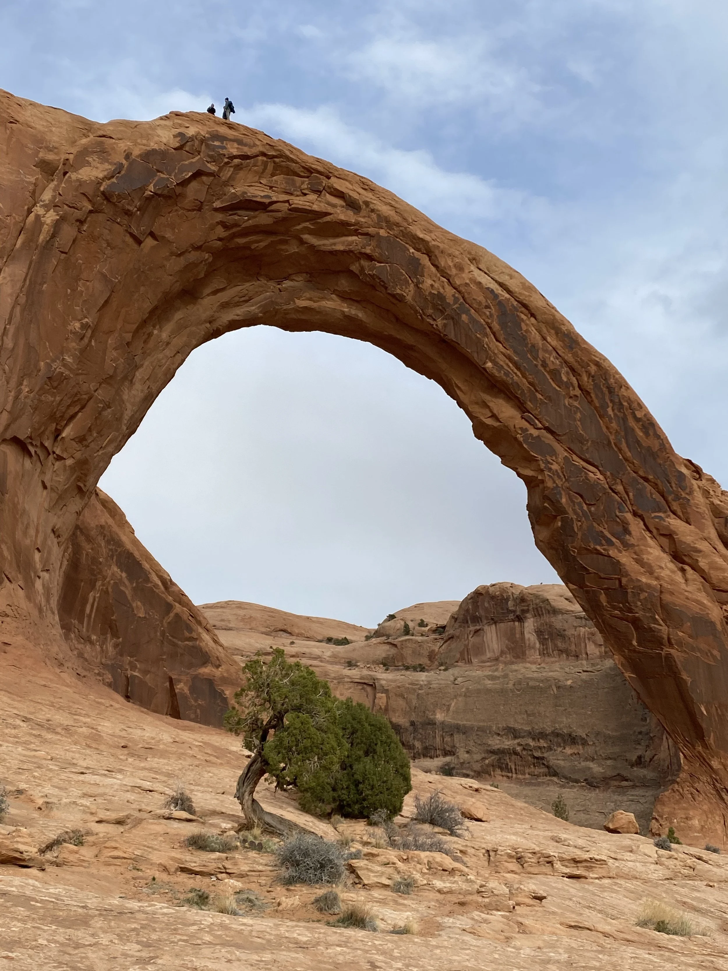 Moab &amp; Arches N.P.
