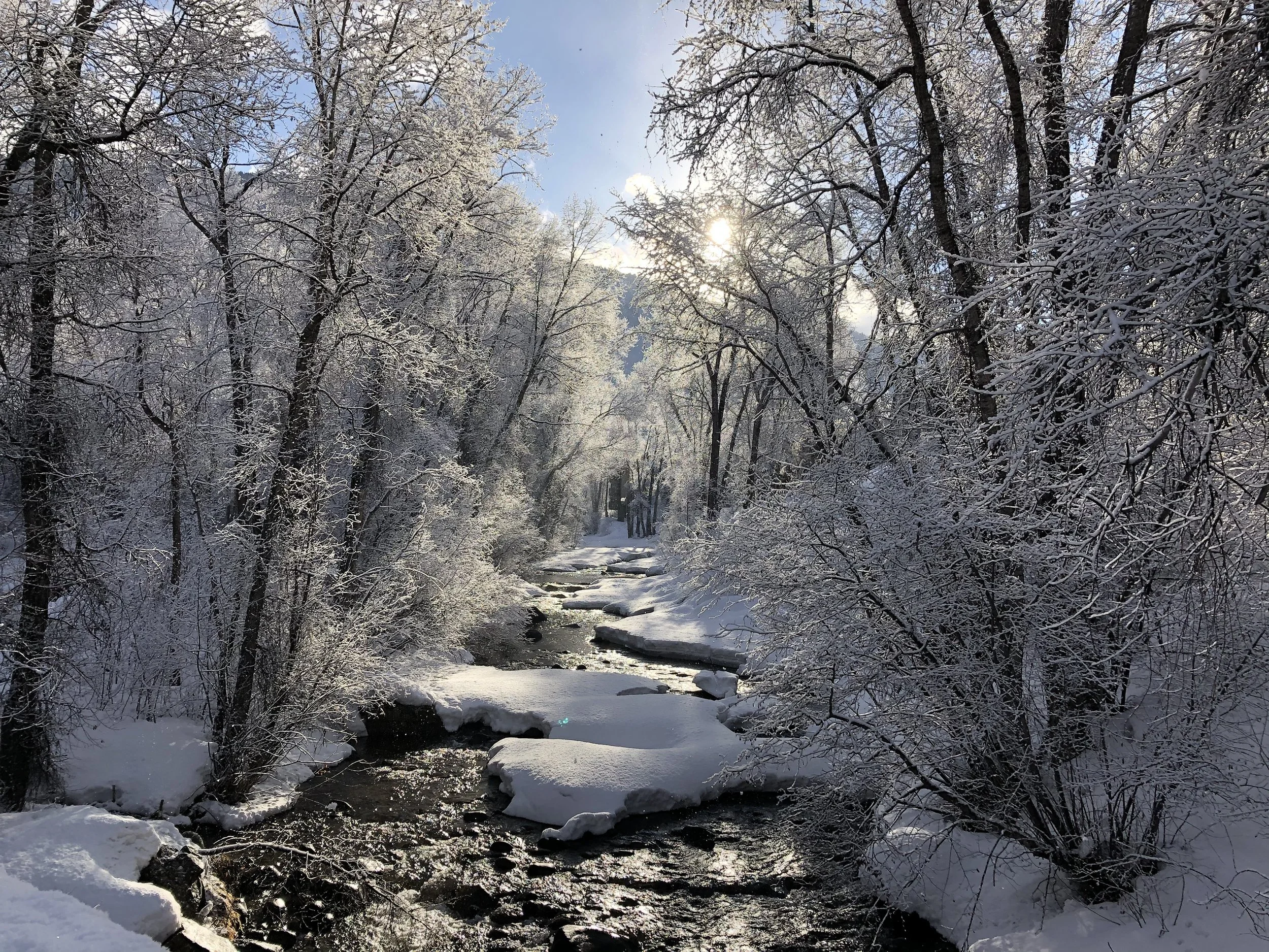 Aspen