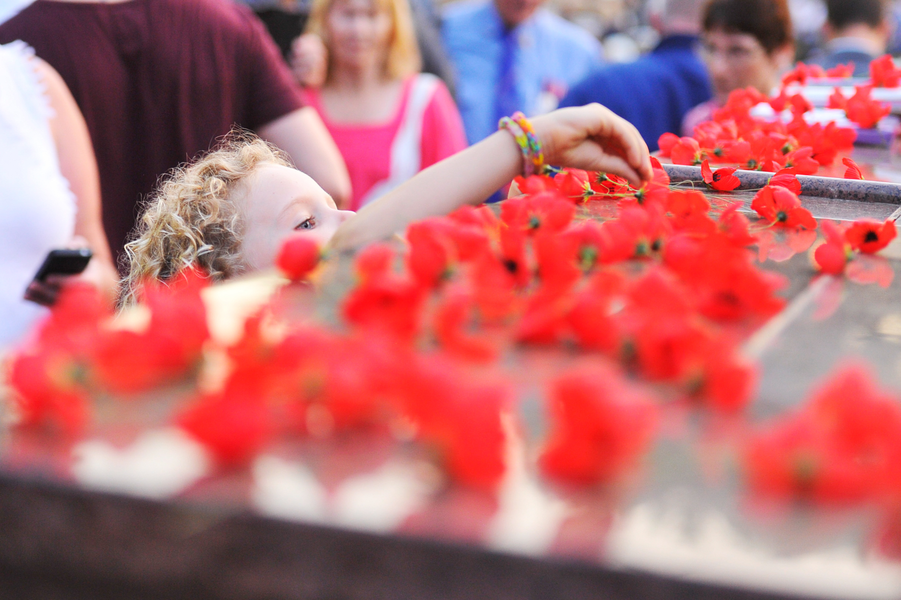 CHP_Export_67519939_A little girls stretches to lay a poppy on the cenotaph at the ANZAC Day Daw.jpg