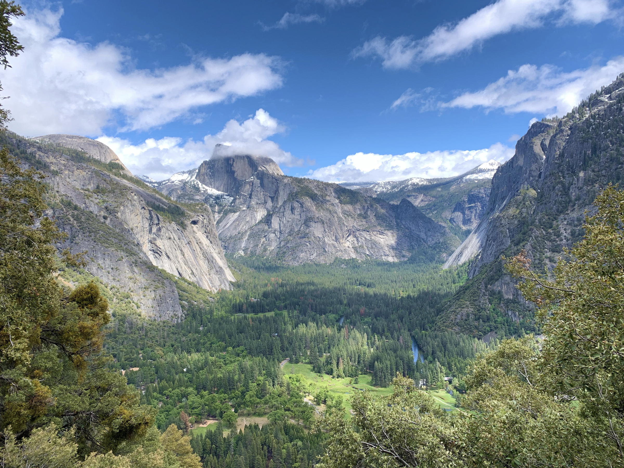 Screen Shot 2021-07-01 at 10.07.54 AM.png