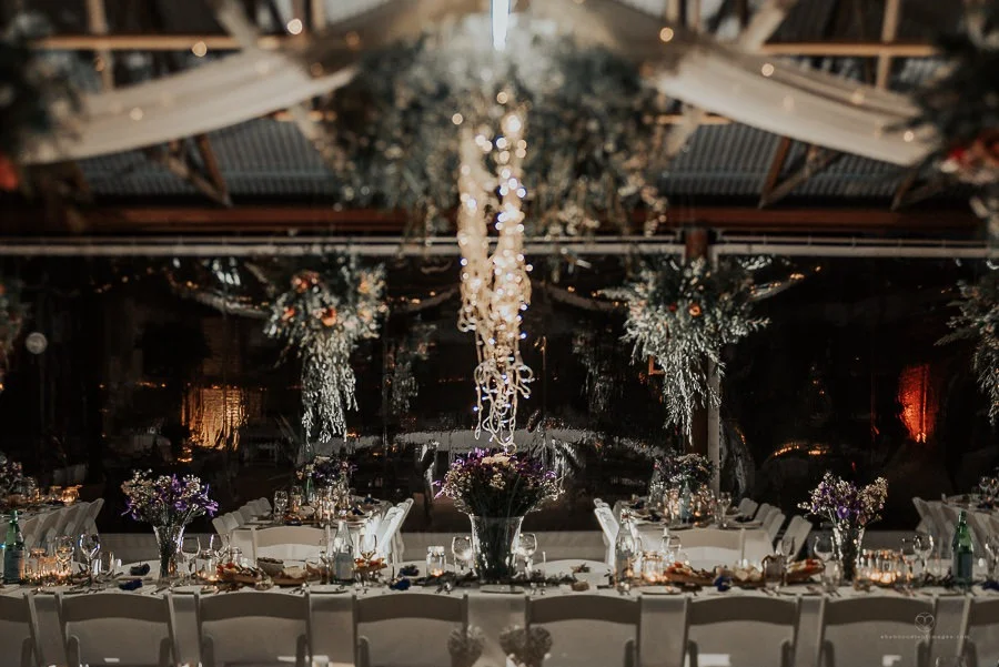 Shannon Stent Images