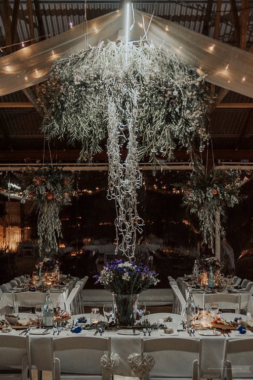Shannon Stent Images