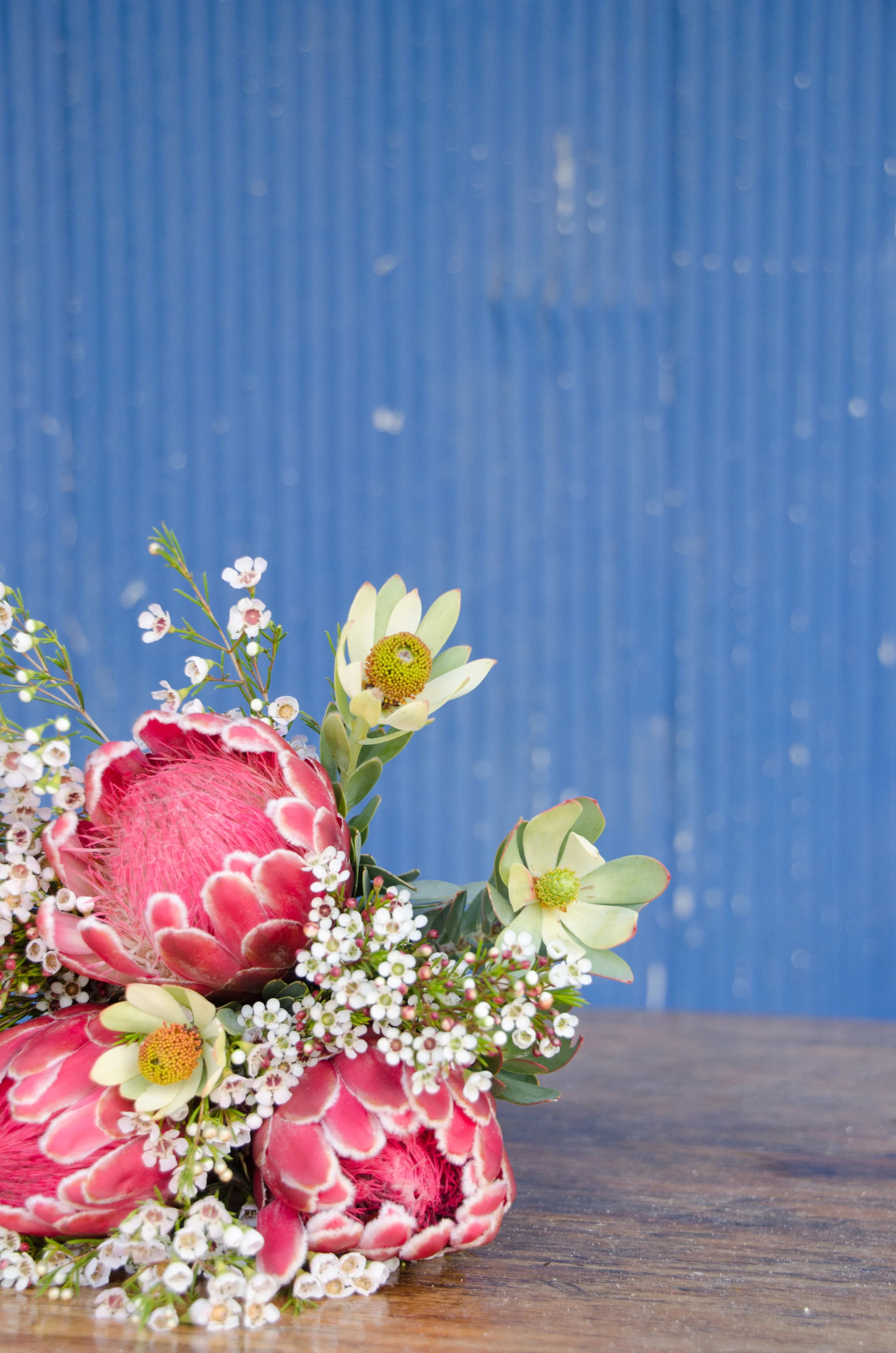 Saturday January 12th, 2019.