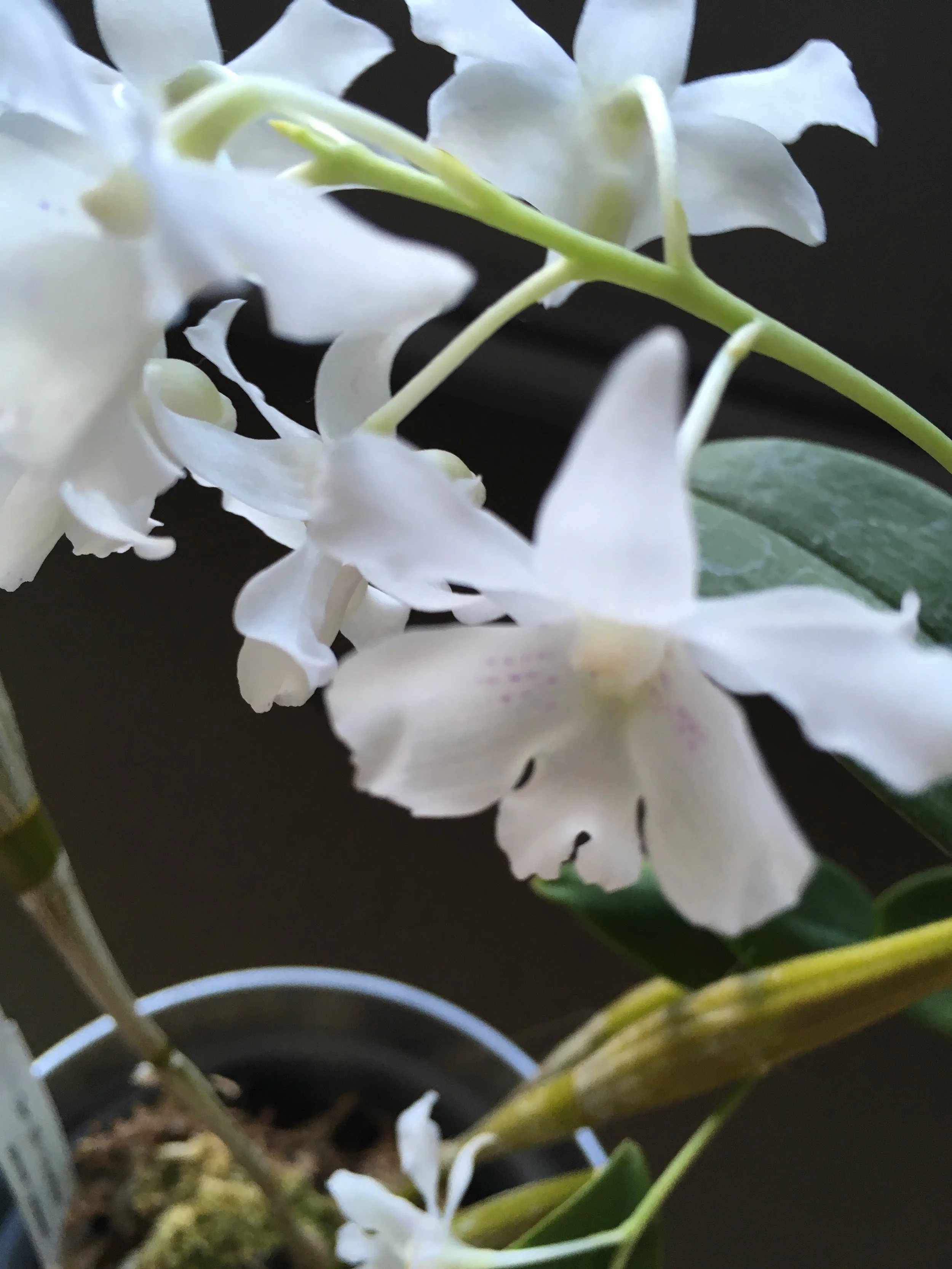 Journal: January Catch-up!