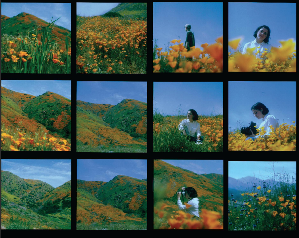 Screen Shot 2019-05-18 at 4.18.14 PM.png