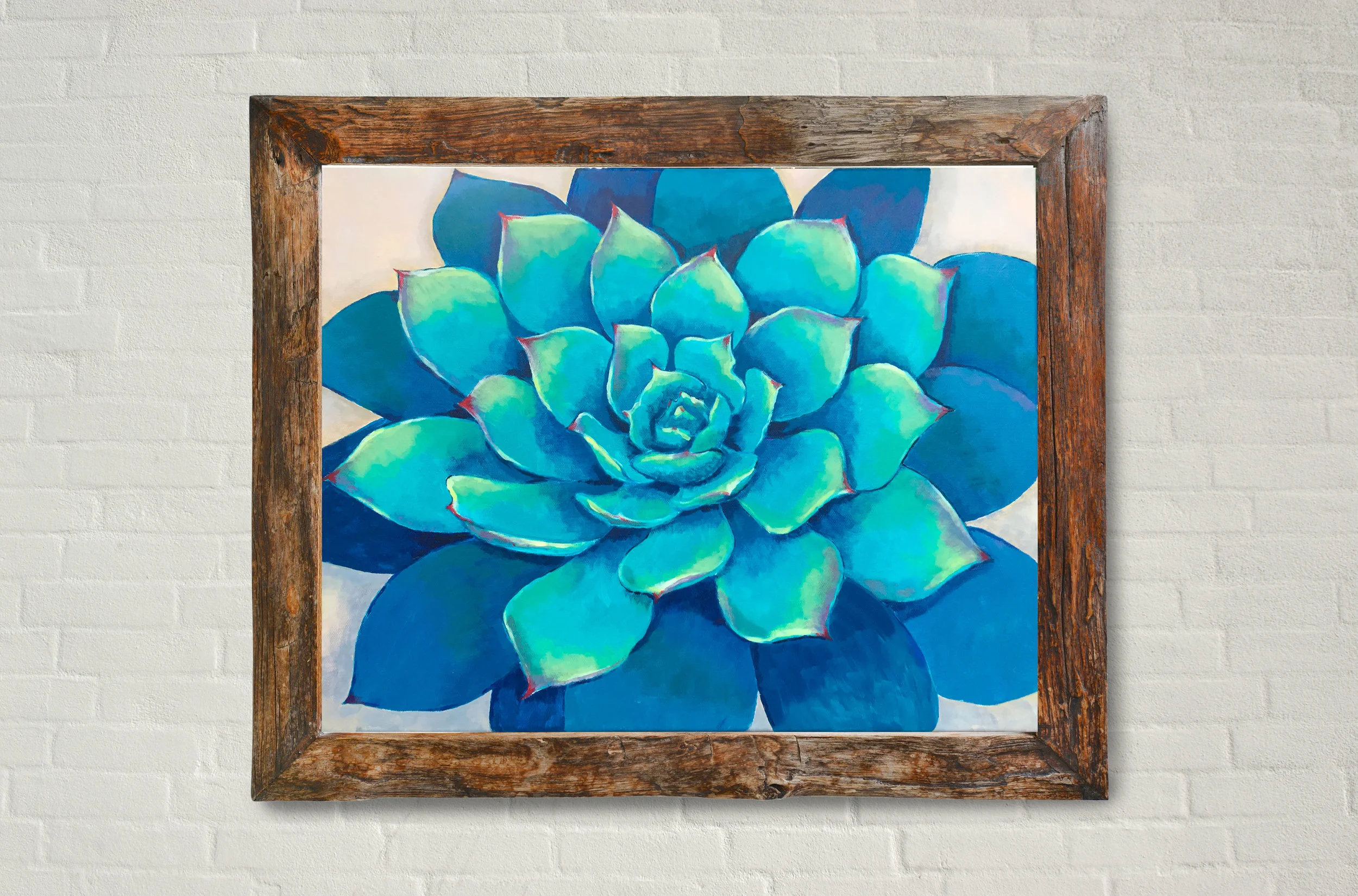 Succulent.jpg