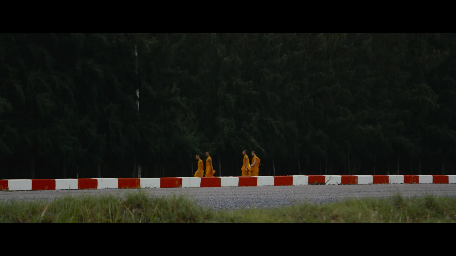 Doco reel.00_26_14_24.Still002.jpg