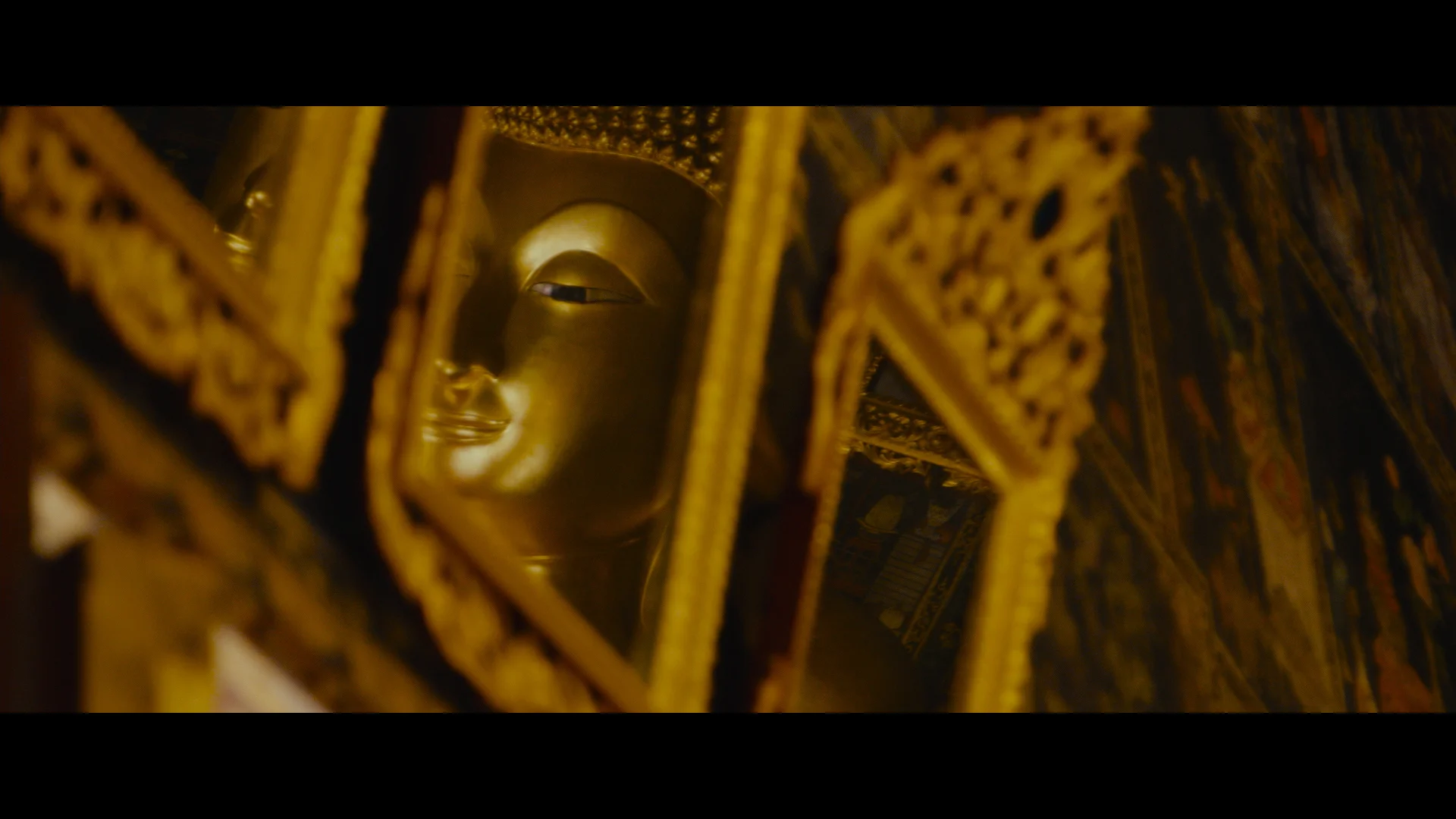 Doco reel.00_42_06_03.Still018.jpg