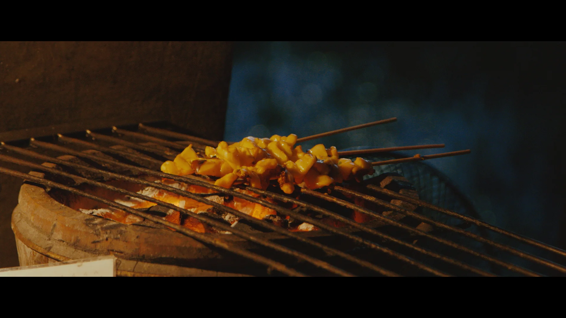 Doco reel.00_47_31_18.Still021.jpg