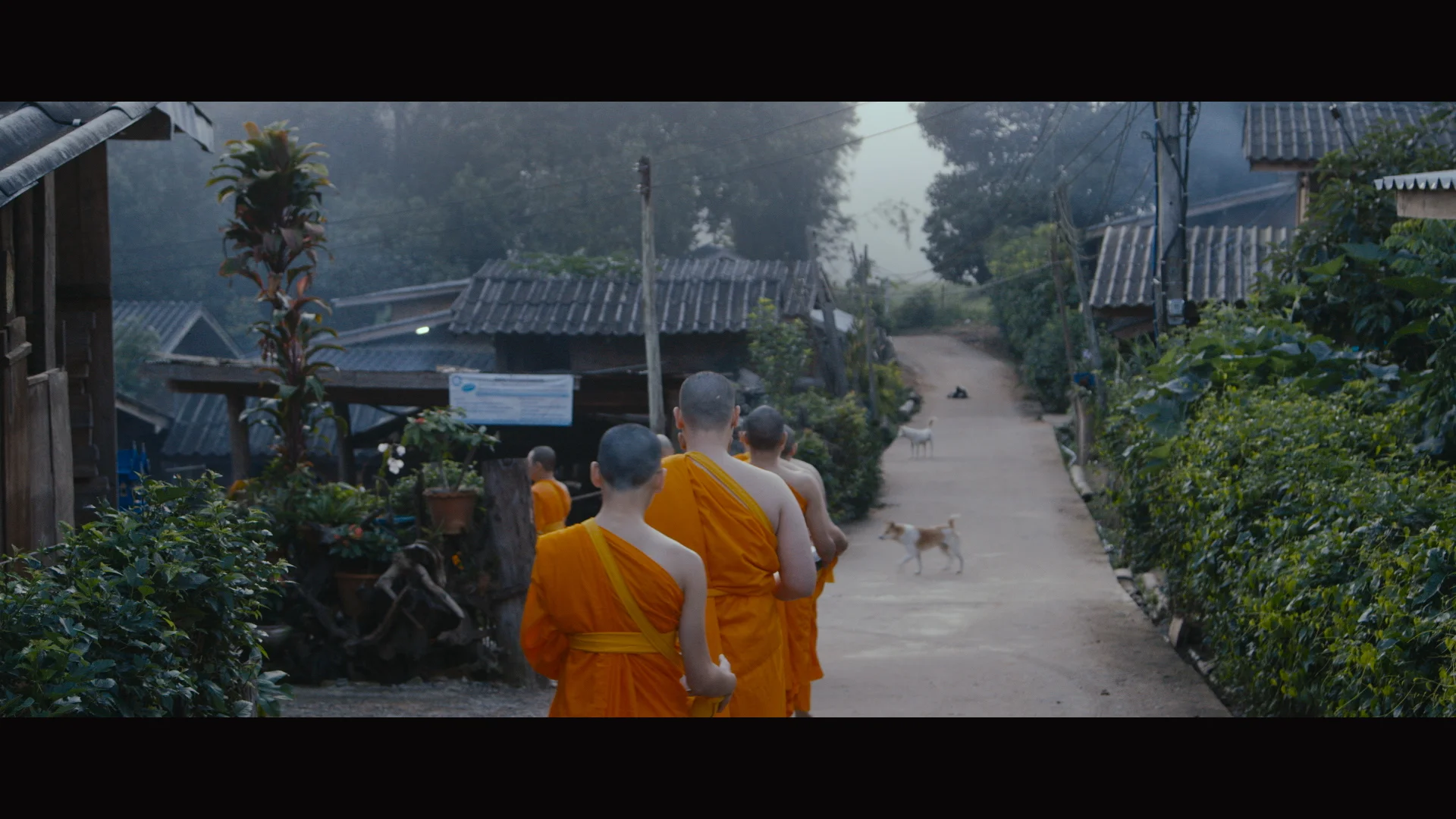 Doco reel.01_10_01_05.Still058.jpg