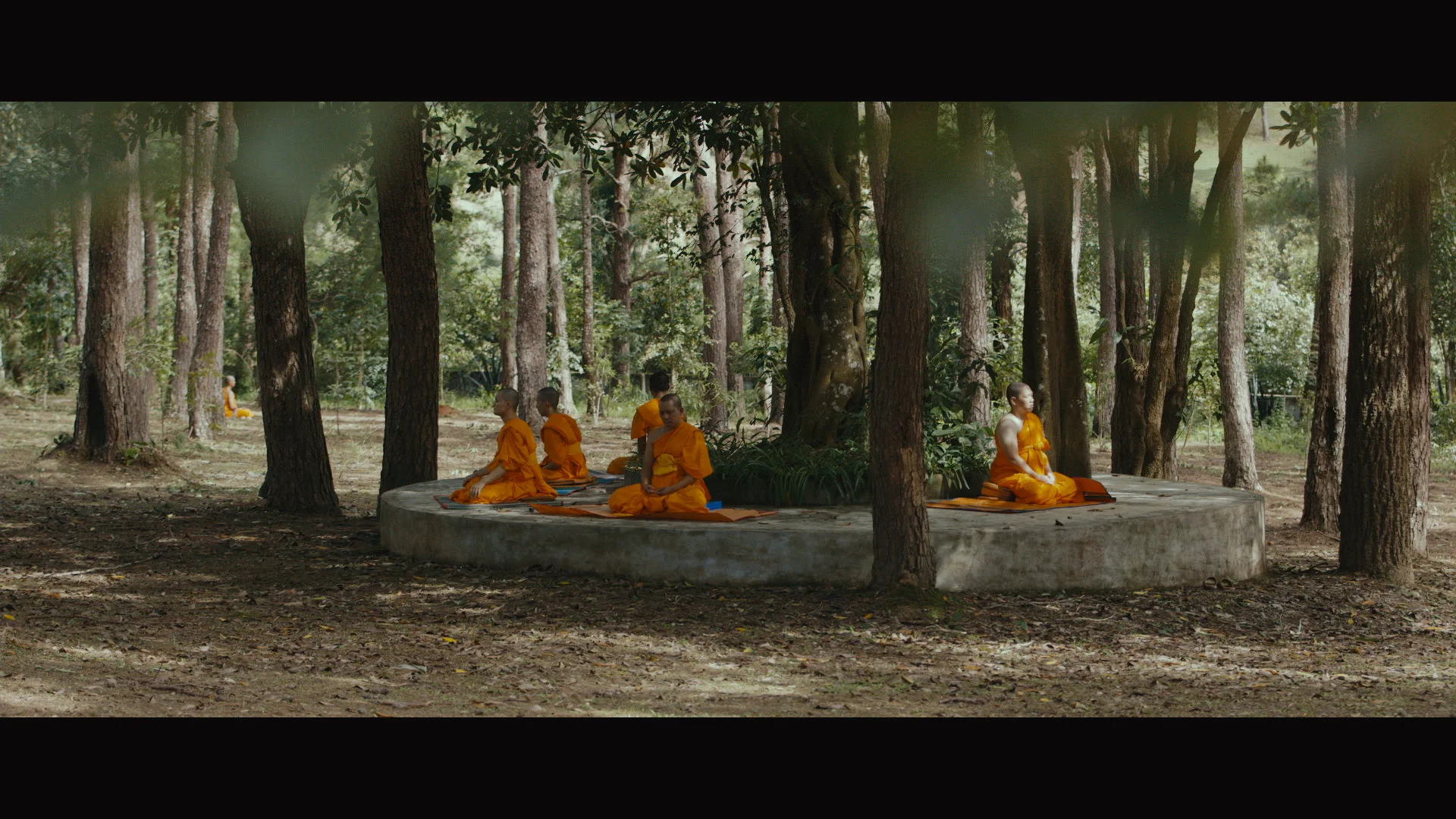 Doco reel.01_12_24_01.Still066.jpg