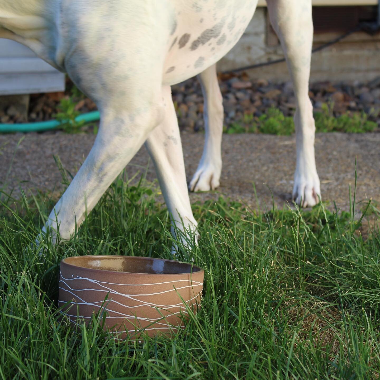 Made to order cups and pet bowls are here✌️ Link in bio.