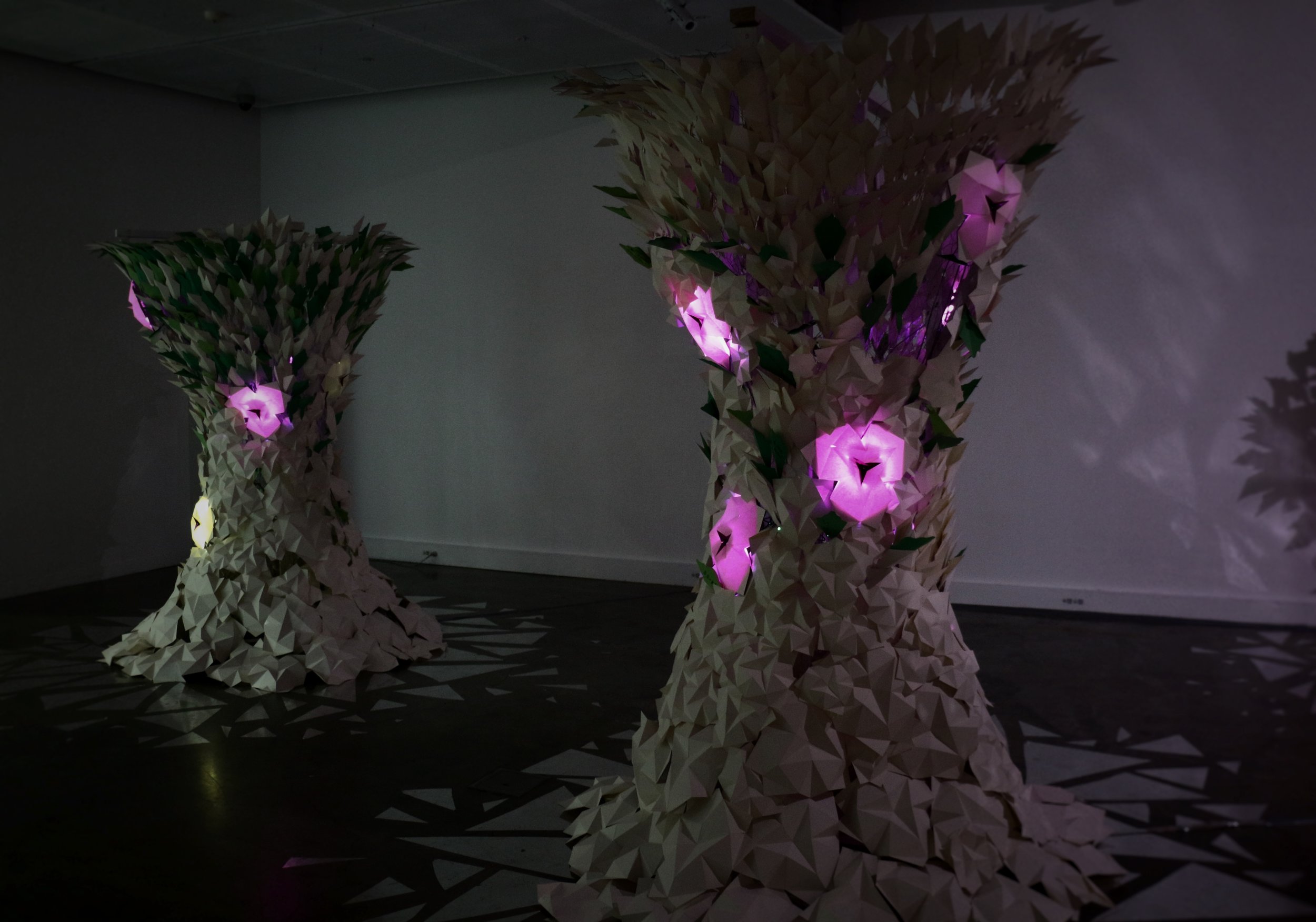 trees.jpg