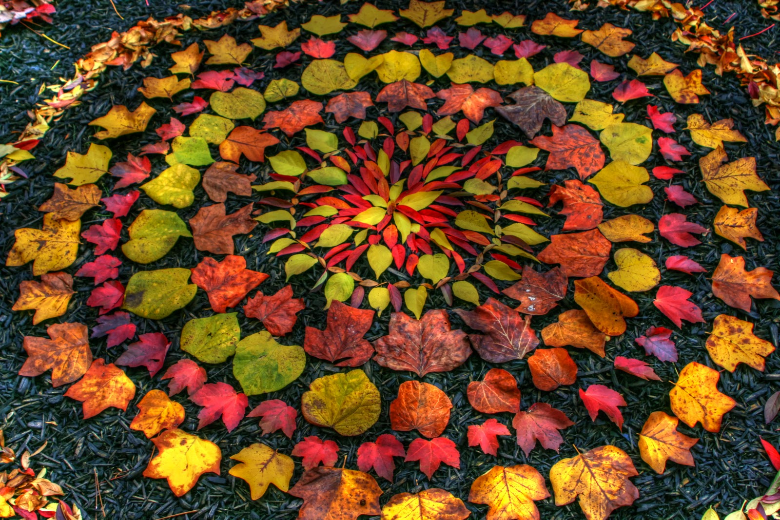 Andy Goldsworthy: http://ekstrakt.me/2015/09/andy-goldsworthy/?lang=en