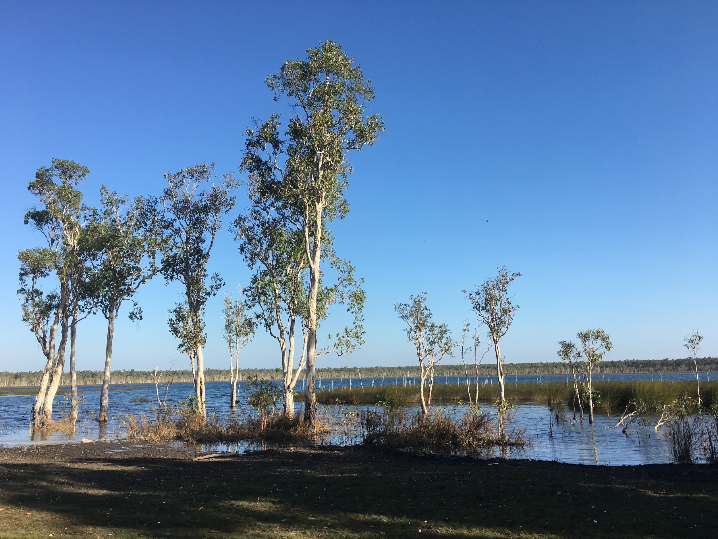 Gulun (Lake), Gapuwiyak, Arnhem Land, NT. July 2018