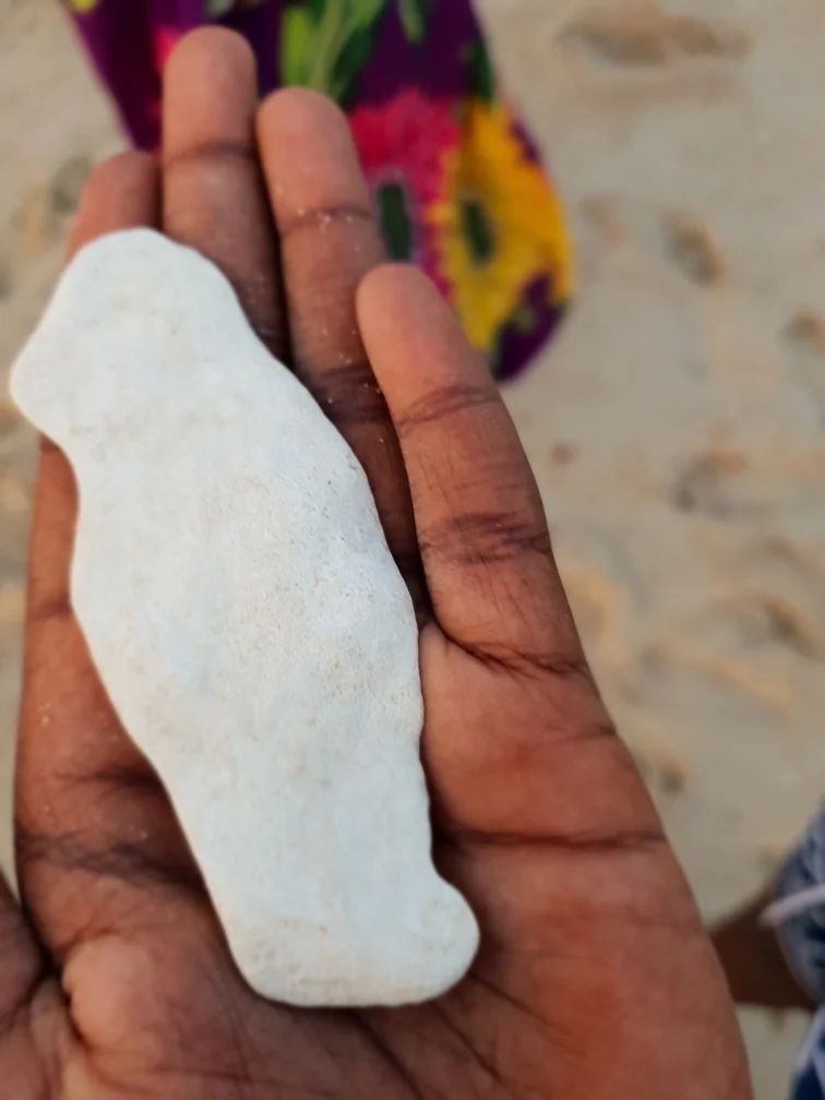 Fragment (Photo Credit: Mahra Villis, Nov 2018, Arnhem Land, NT)