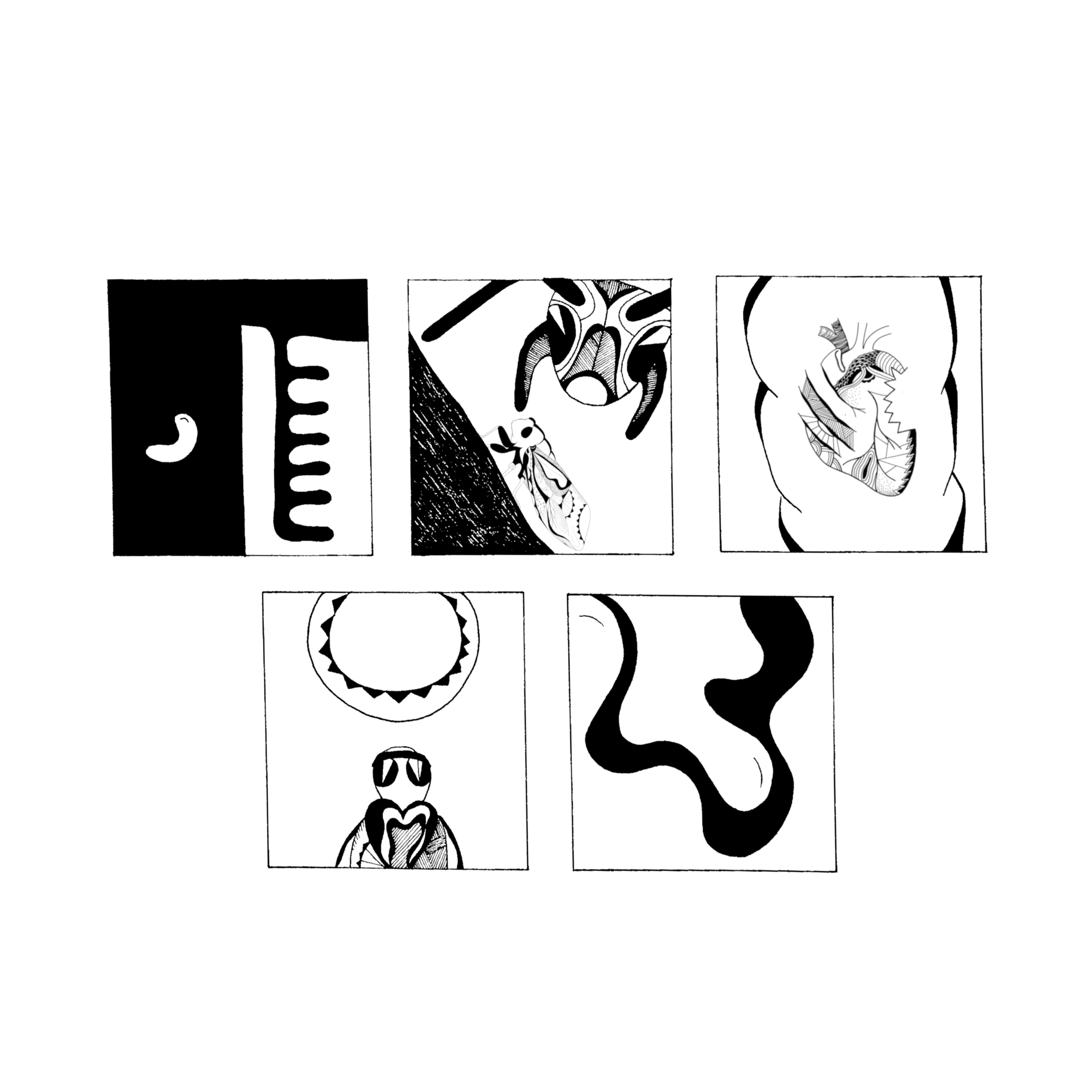 Cicada5Panel.png
