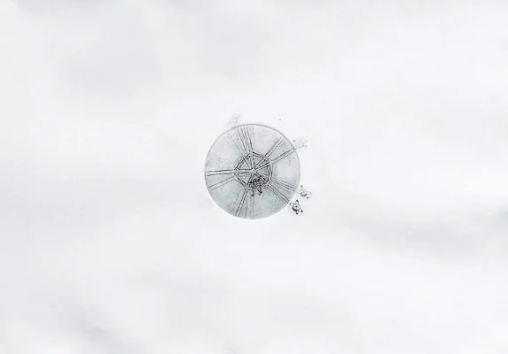 뺑뺑이(Spin and spin)