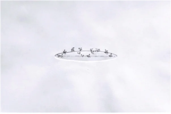 줄타기(Tightrope walking)