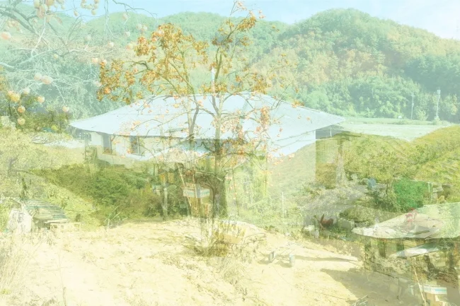 White Out-Yeoju-2