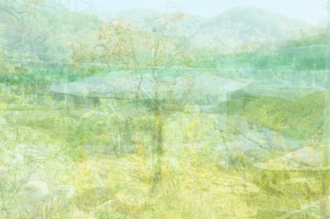White Out-Yeoju-4