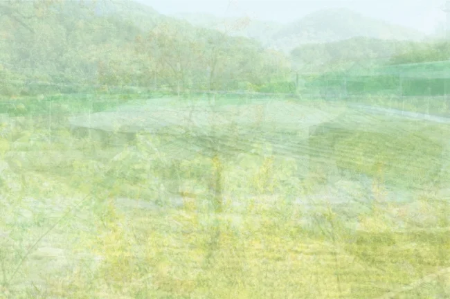 White Out-Yeoju-5