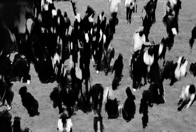 Black Out-Subconscious People-5