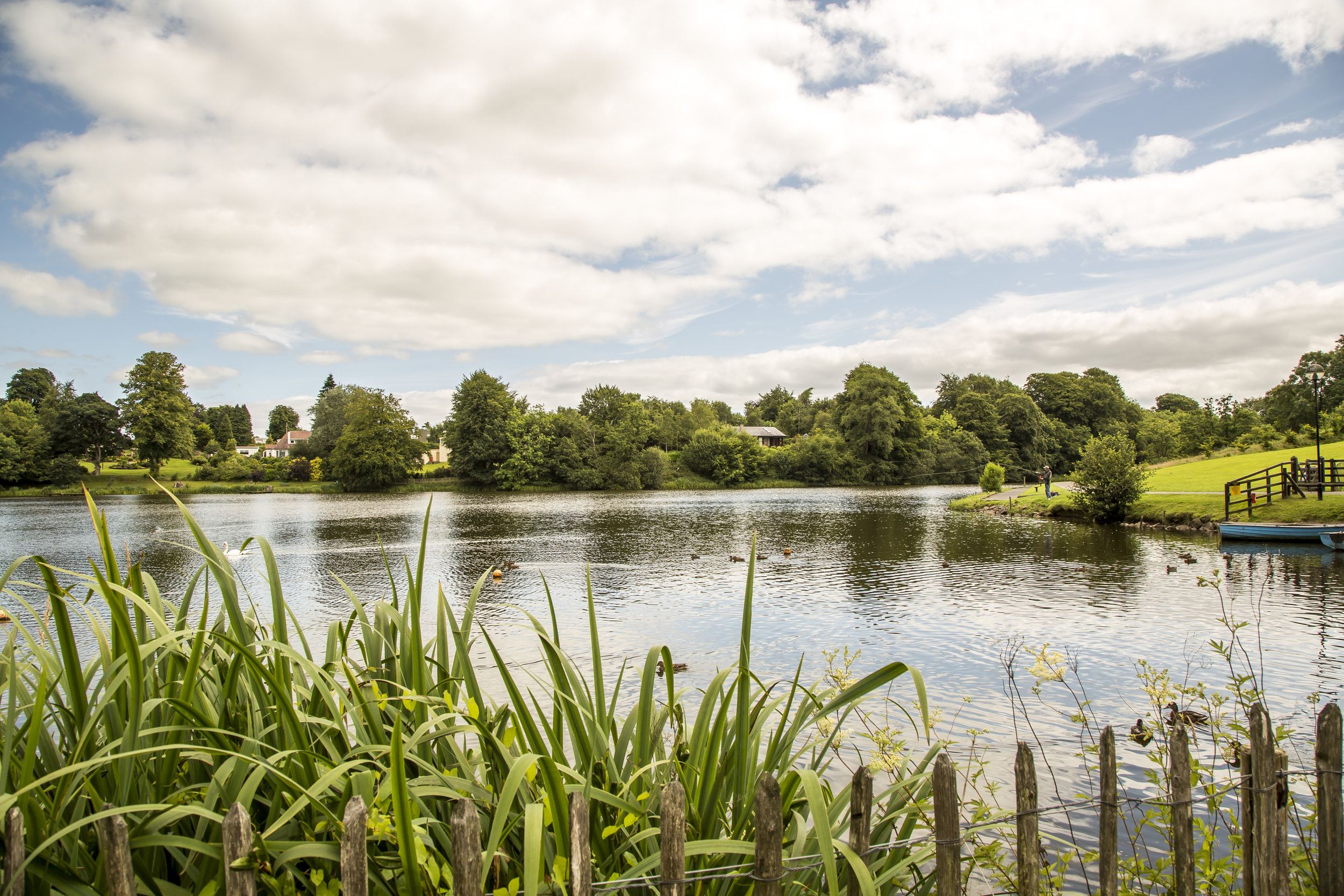 Dungannon Park, ducks on lake.jpg