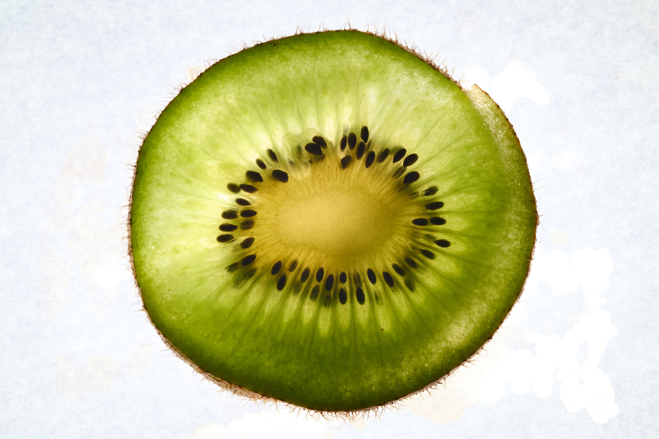 Kiwi Slice