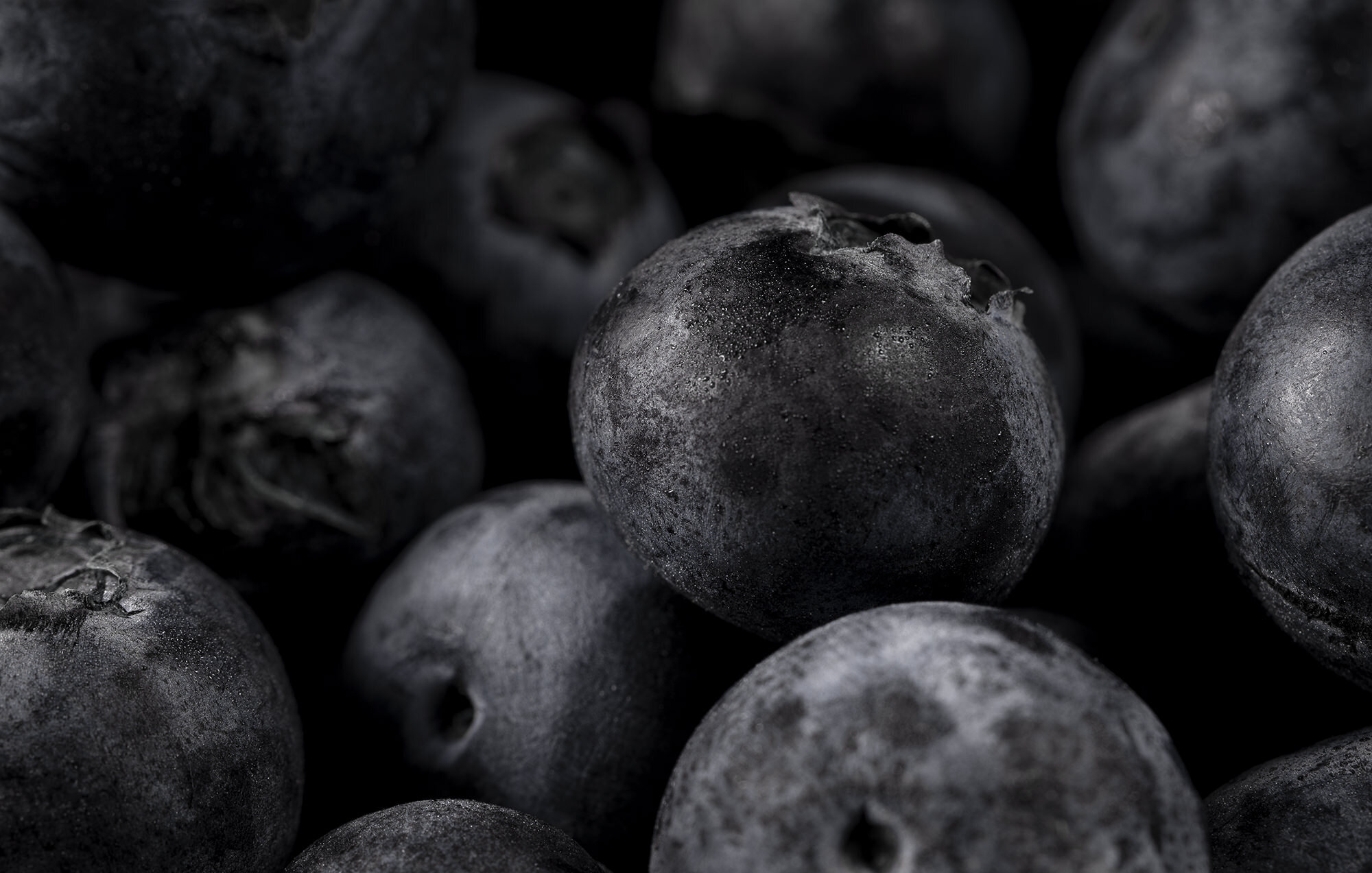 Closeup Blueberries
