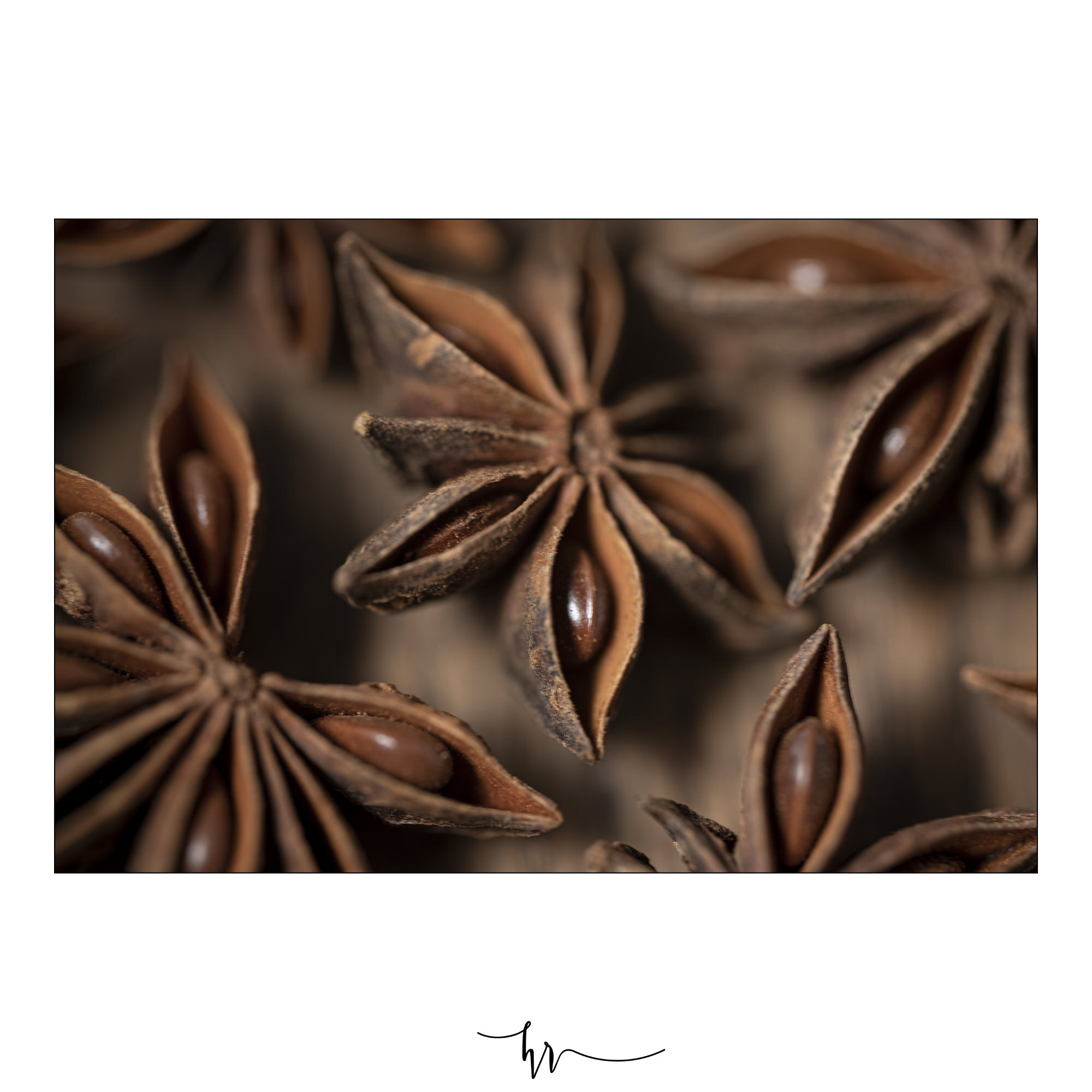 Close up Star Anise