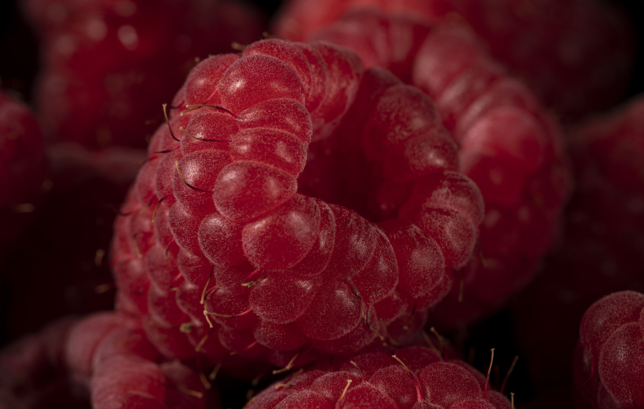 Close-Up Raspberries