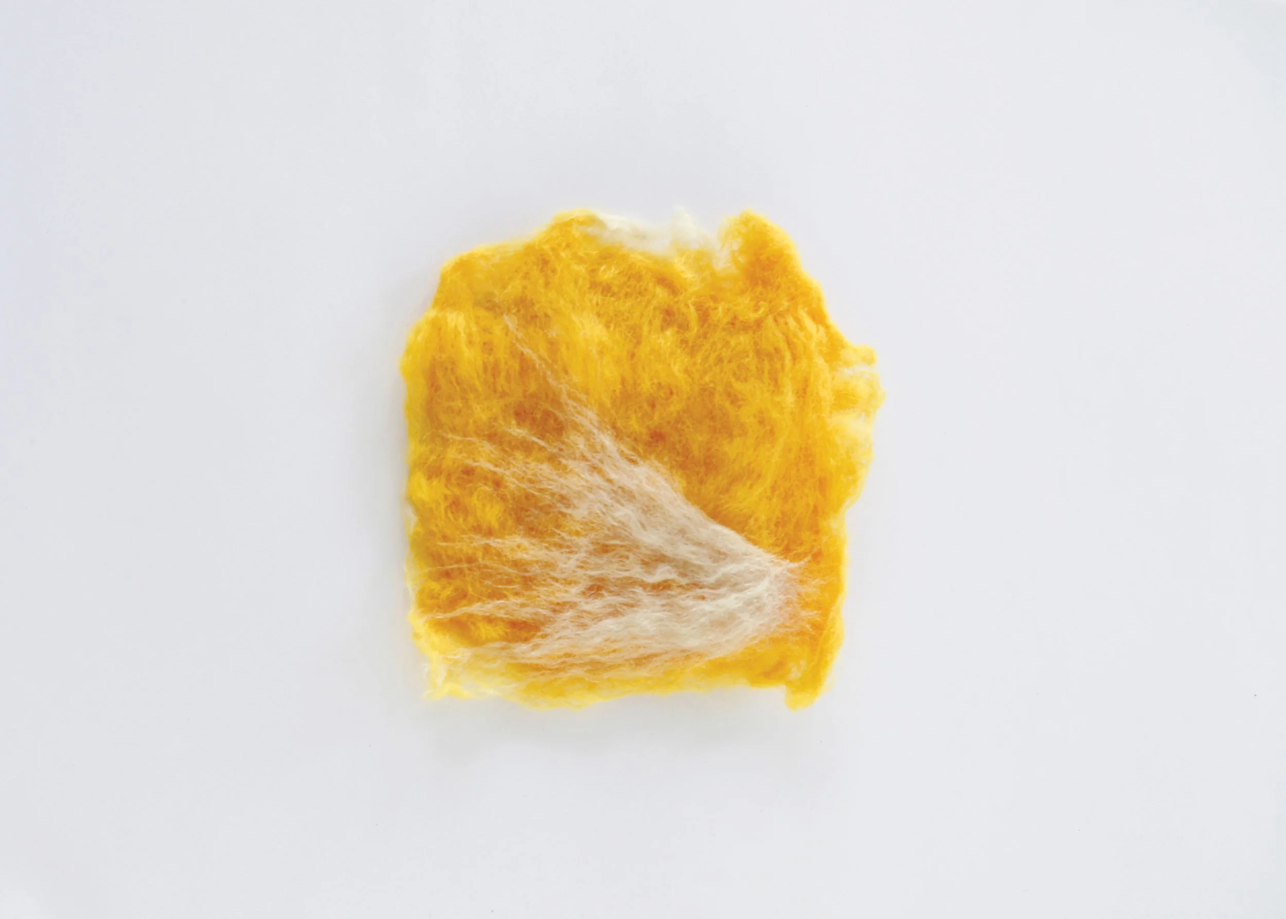 bayleaf studio 03.jpg