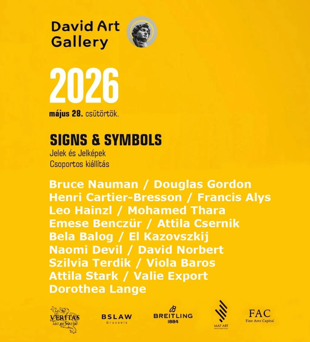 Mohamed Thara - SIGNS-SYMBOLS Group exhibition 2026.jpg