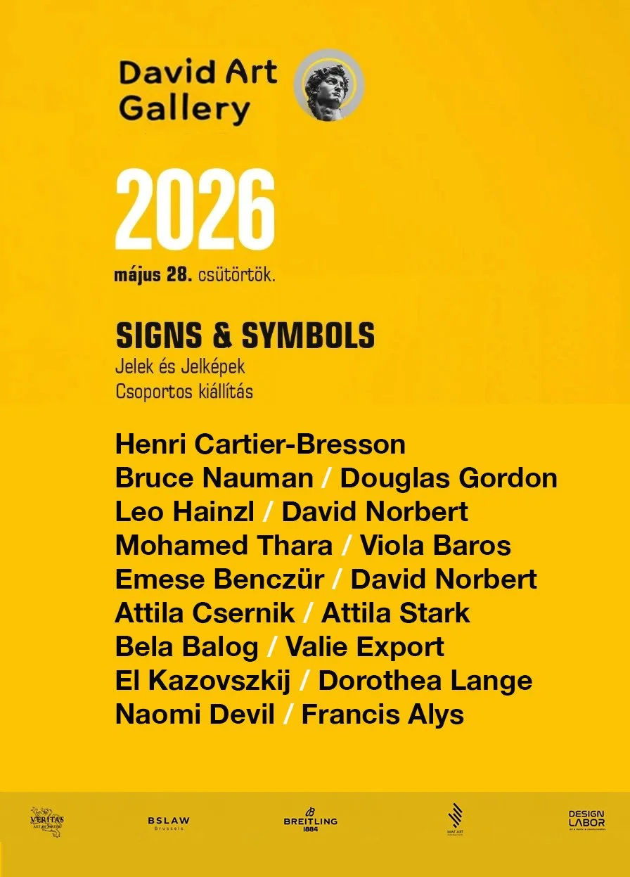 Mohamed Thara David Art Gallery 2026.jpg