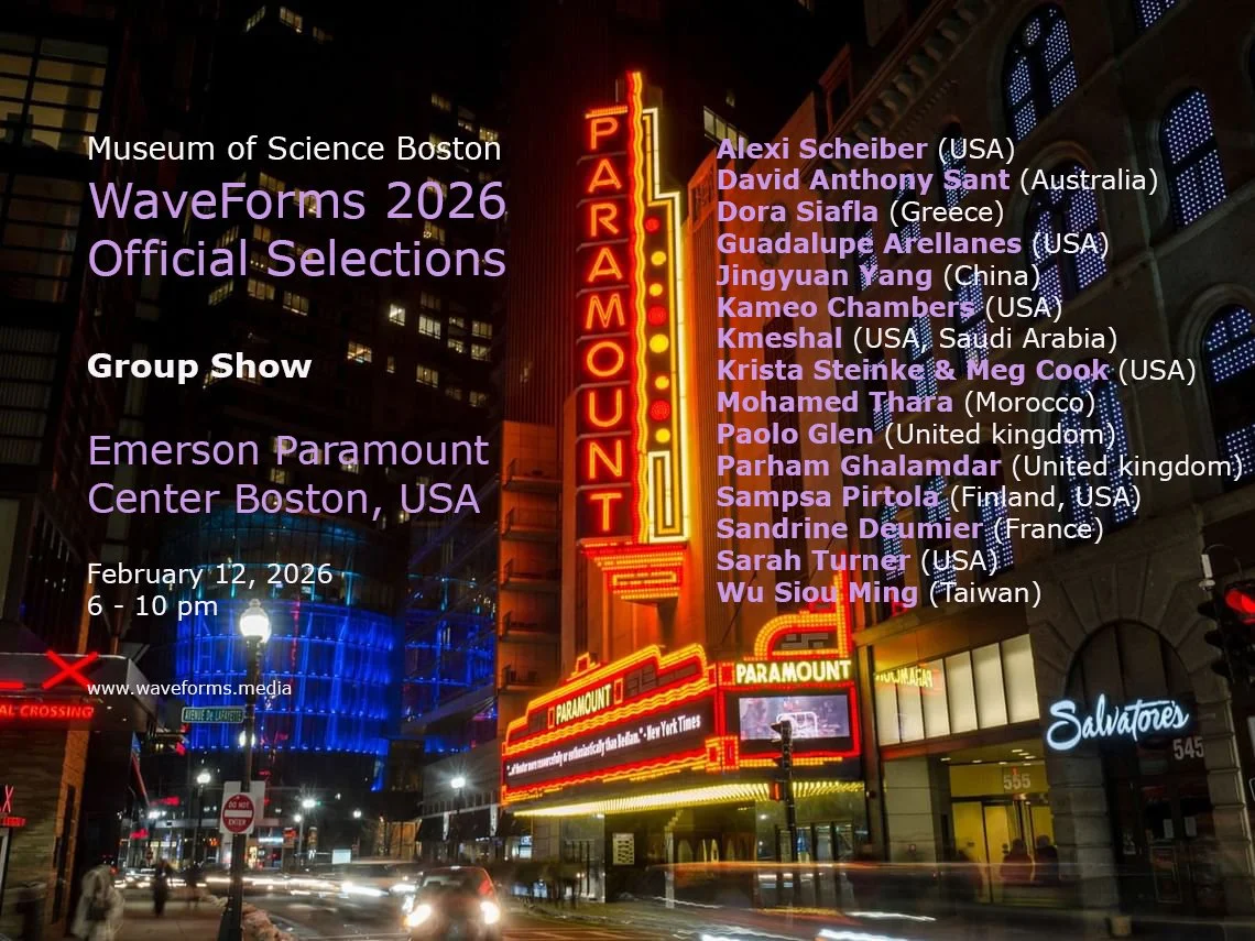 Mohamed Thara Emerson Paramount Center, Boston USA.jpg