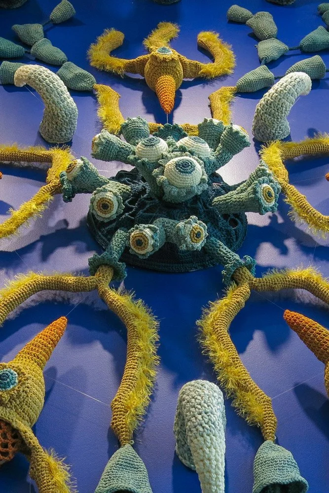 radiolarian_portrait.jpg