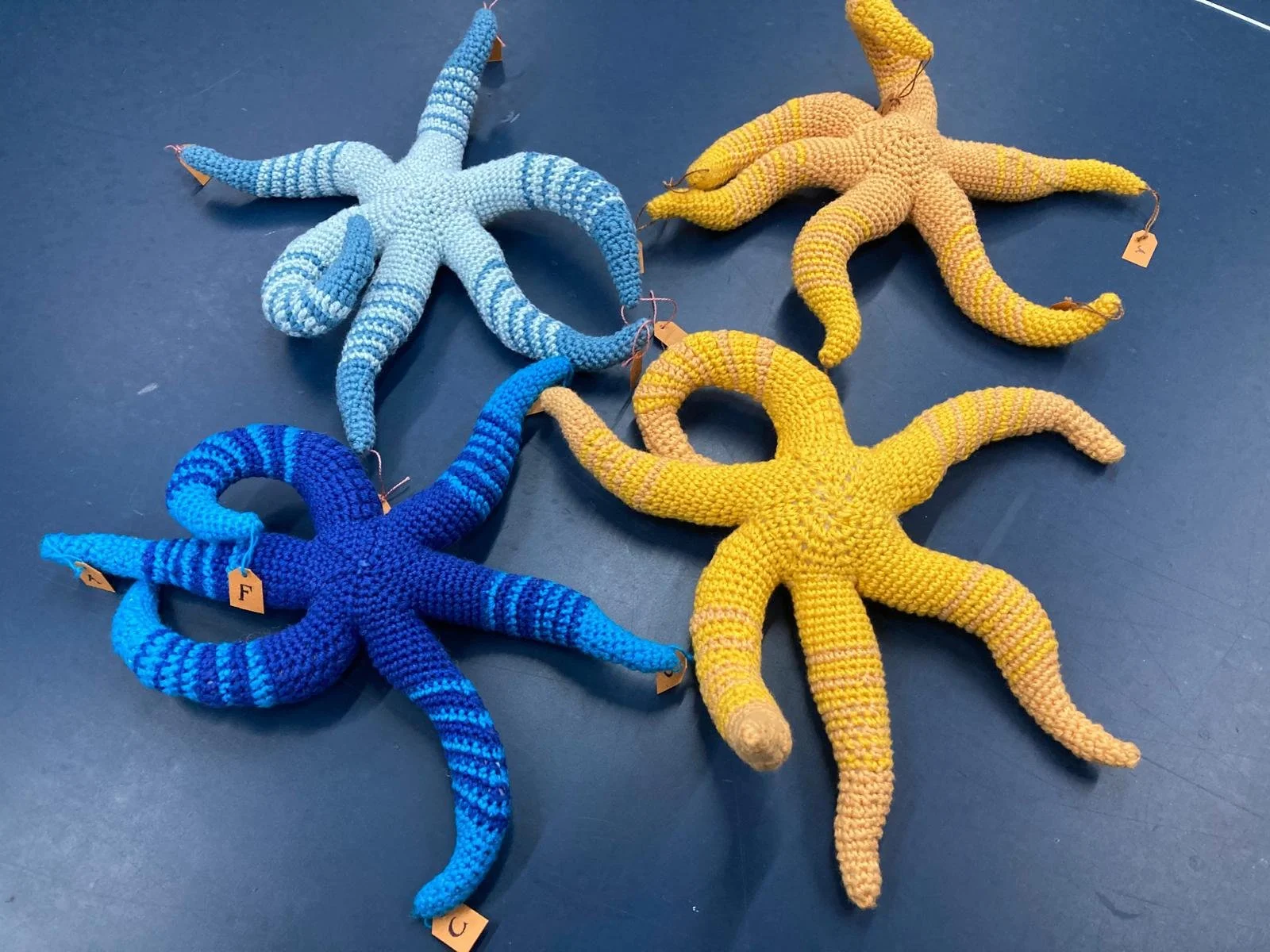 WhatsApp Image 2024-06-09 at 3.17.00 PM.jpeg